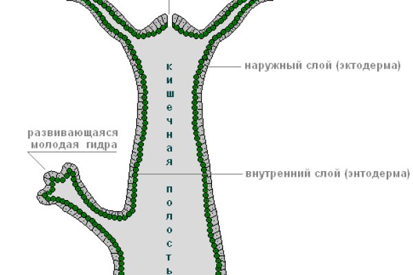 Мега рабочая ссылка даркнет